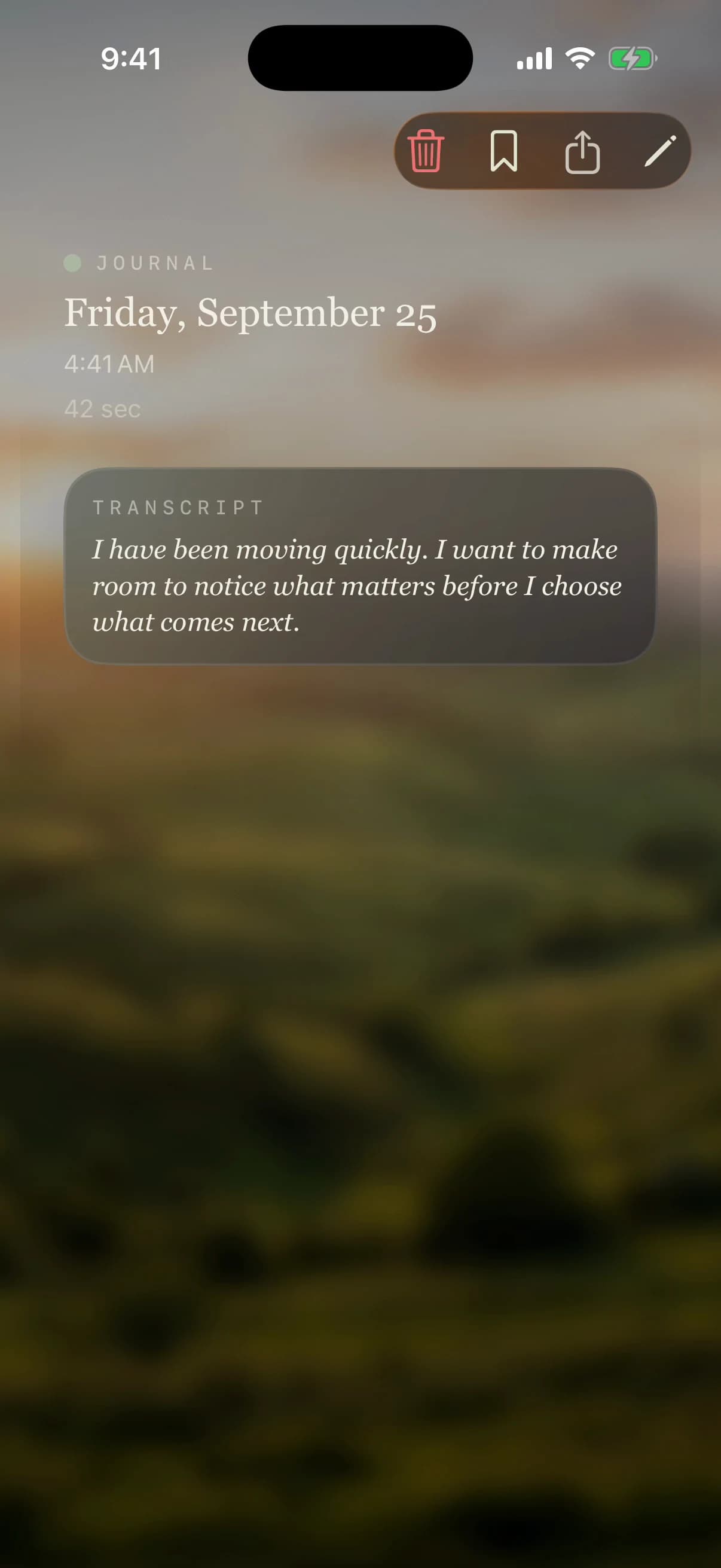 A demo journal entry shown as text in Belong